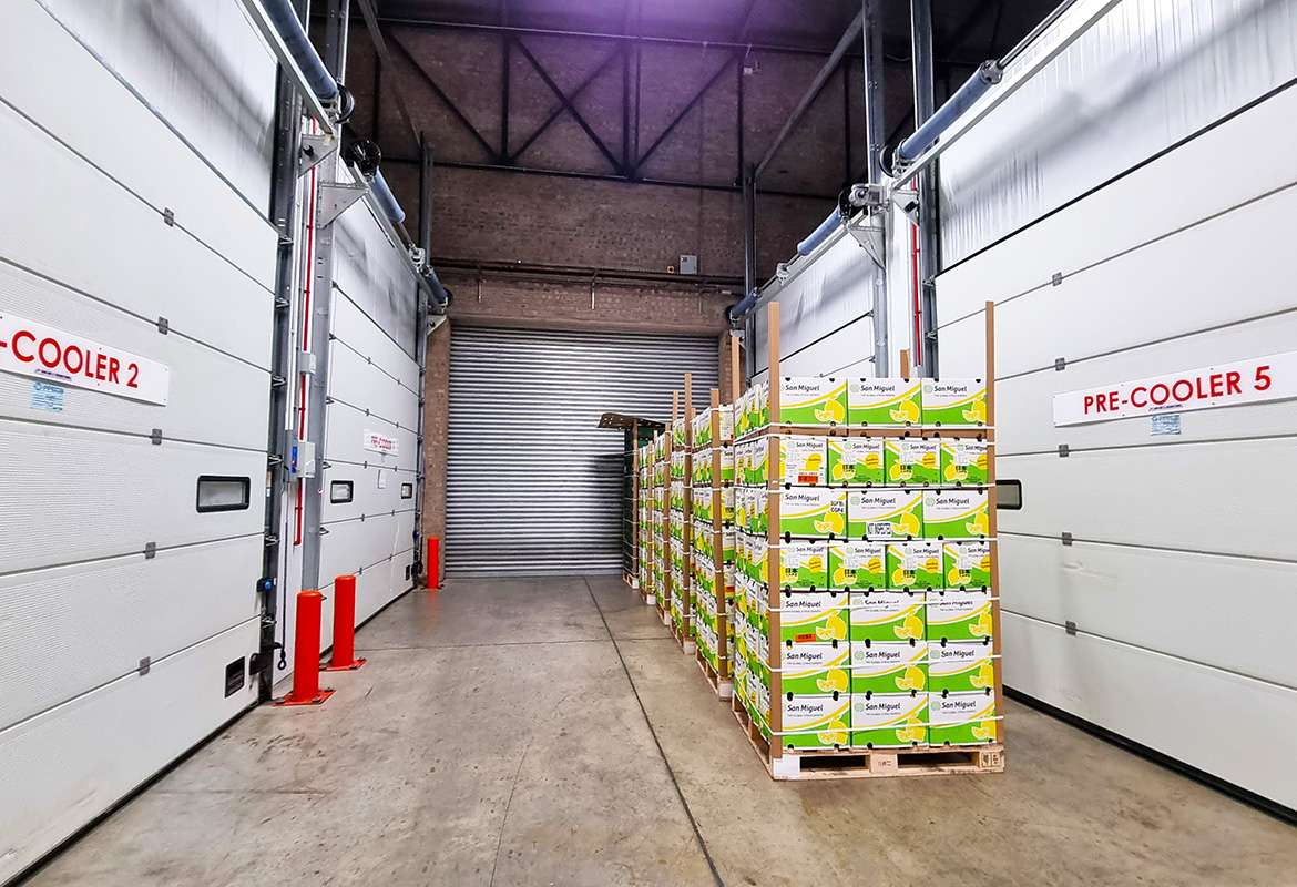 Cold Storage Facilities